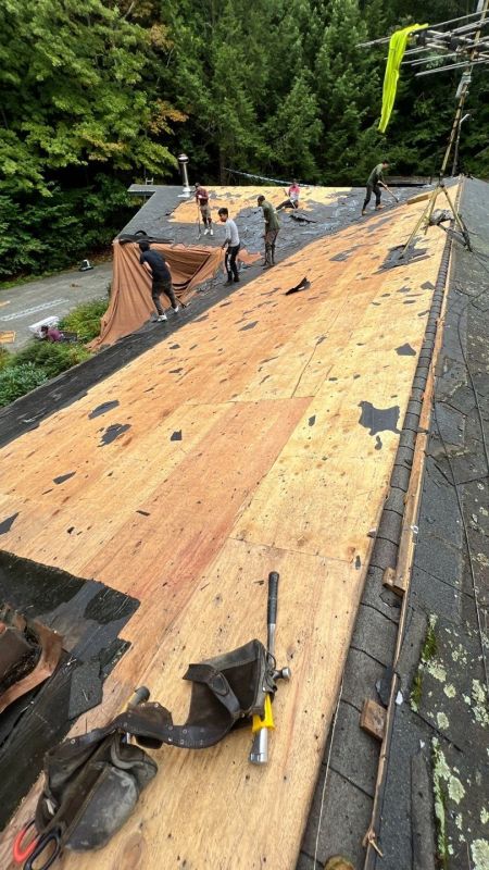 When To Schedule Asphalt Roof Replacement